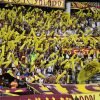GALERIA PIJAO: TOLIMA VS NACIONAL