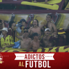 REVOLUCIÓN VINOTINTO ANTE NACIONAL